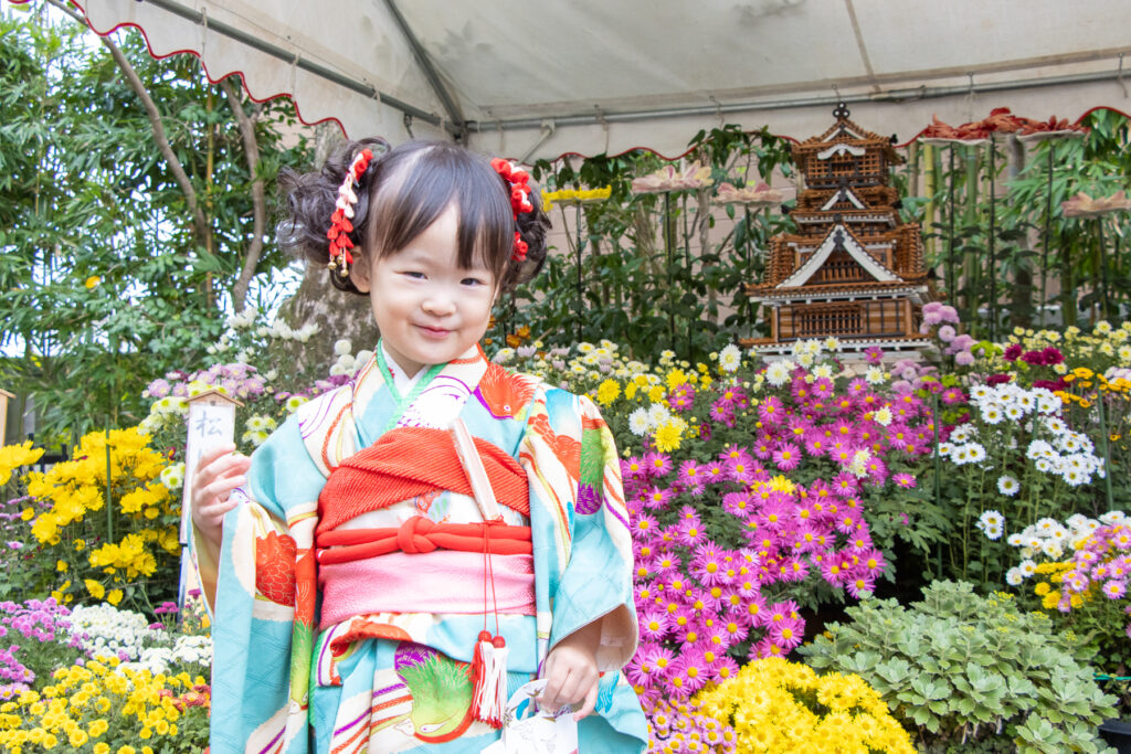 諏訪神社　菊の花
